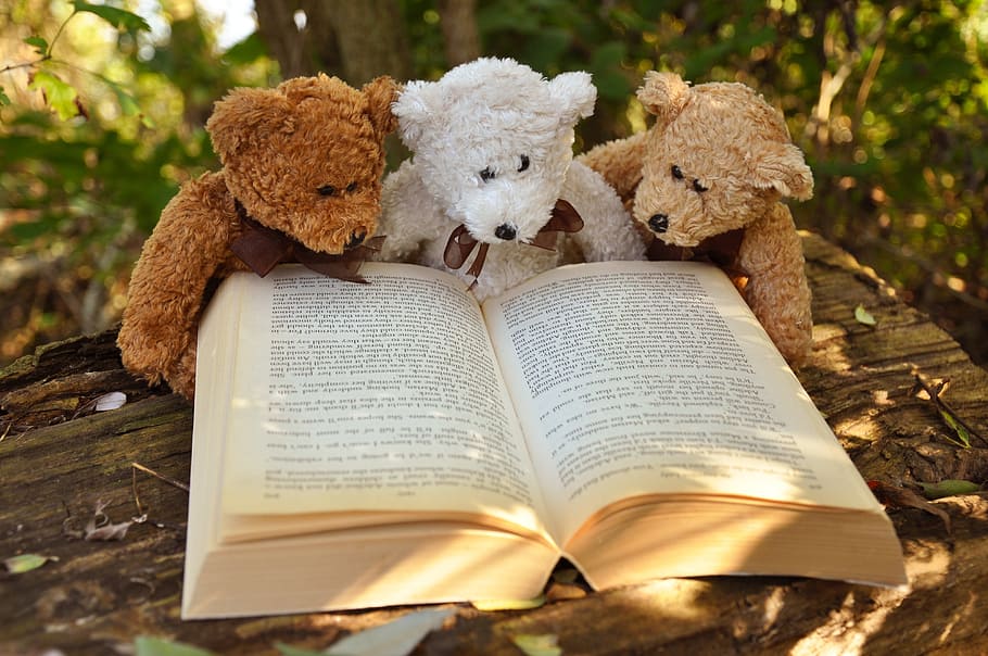 Three Fluffy Kids' Toys sitting behind books reading together 